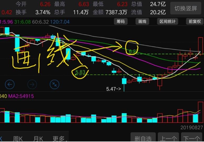“湛江：中国海鲜美食之都解码之旅”榜上有名